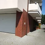 Leukozja Krynica Morska