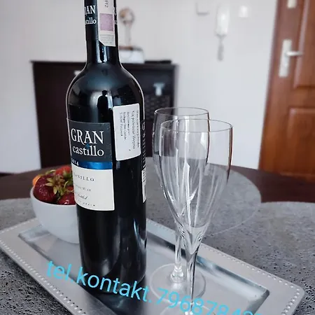 Leukozja Apartment Krynica Morska