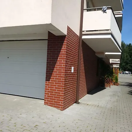 Leukozja Krynica Morska